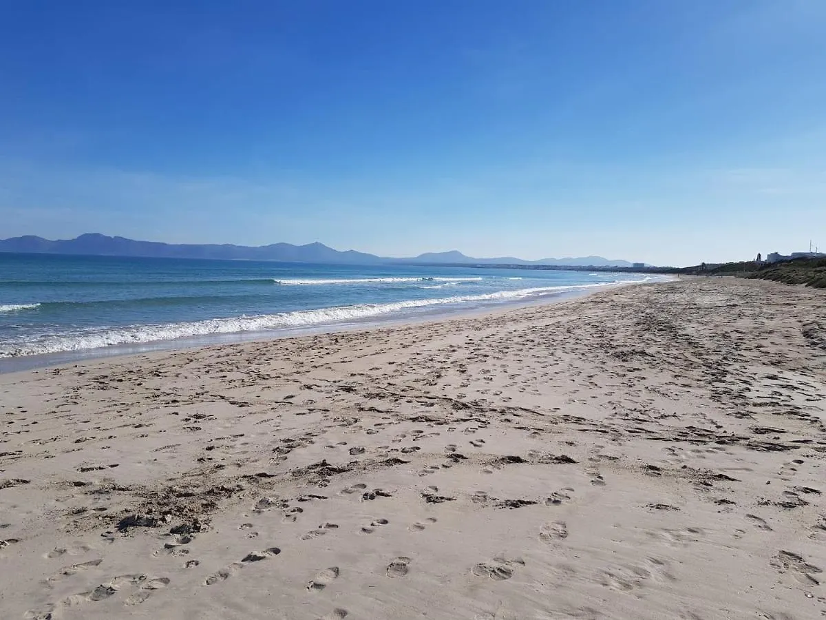 Holiday home Ideal Property Mallorca - Nenufars Alcudia