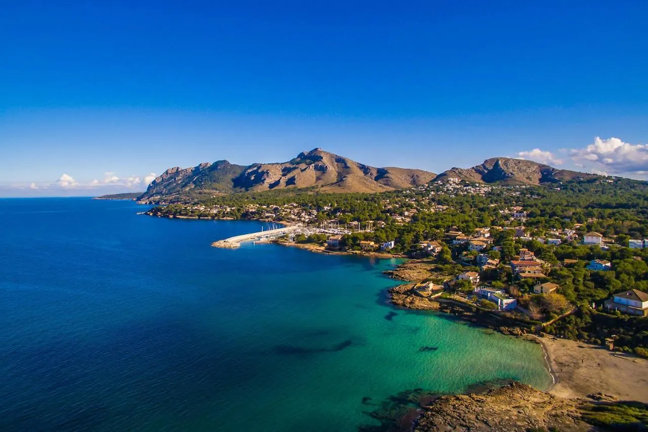 Ideal Property Mallorca - Nenufars Alcudia  Spain