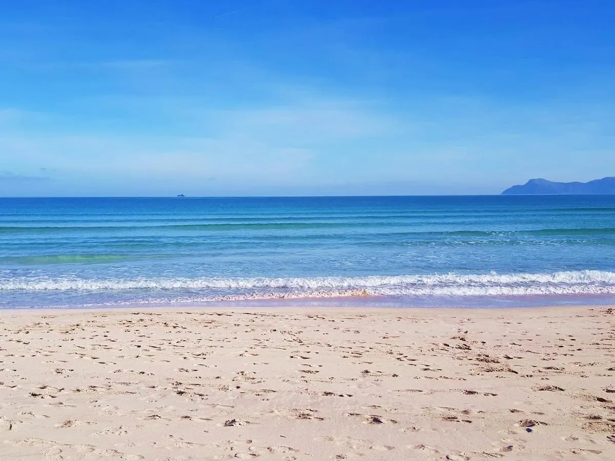 Ideal Property Mallorca - Nenufars Alcúdia Spagna